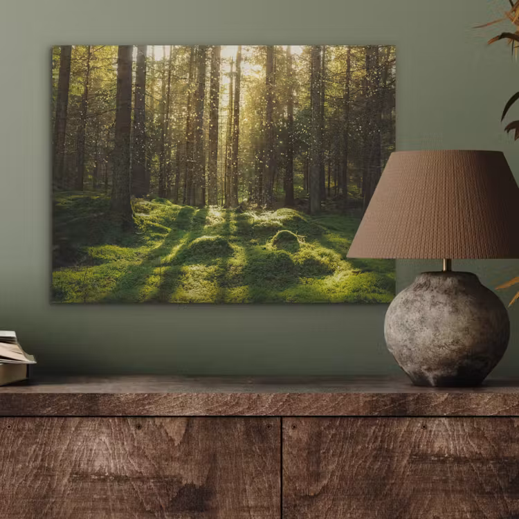 Bomen - Bos - Mos - Planten - Zon - Natuur PET vilt klein -sfeer2