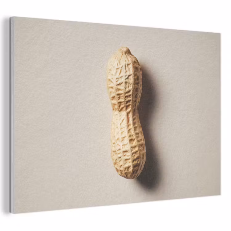 Pinda - Ruw - Beige PET vilt klein -3d