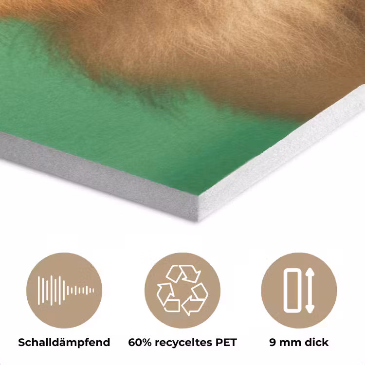 Hond - Zonnebril - Valentijn - Love PET vilt klein -closeup_DE