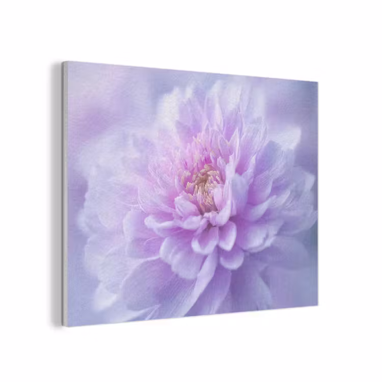 Paars - Dahlia - Dromerig PET vilt klein -3d