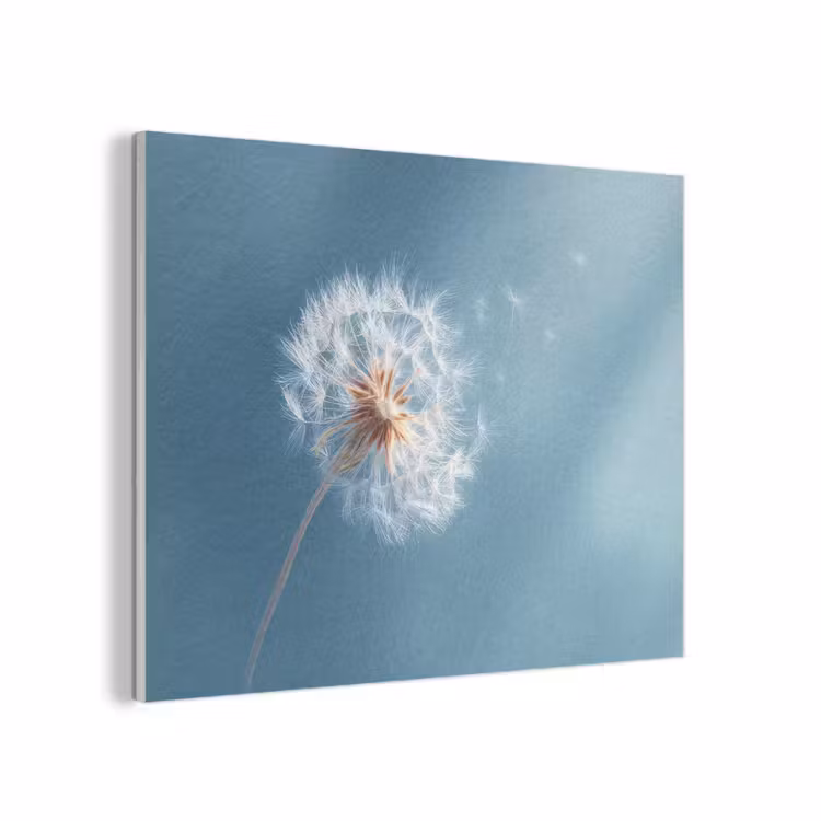 Paardenbloem - Wind - Blauw PET vilt klein -3d