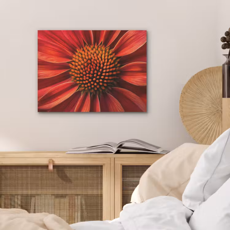 Close up - Bloem- Rood PET vilt klein -sfeer3