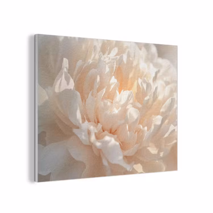 Close up - Pioenroos - Lichtroze PET vilt klein -3d
