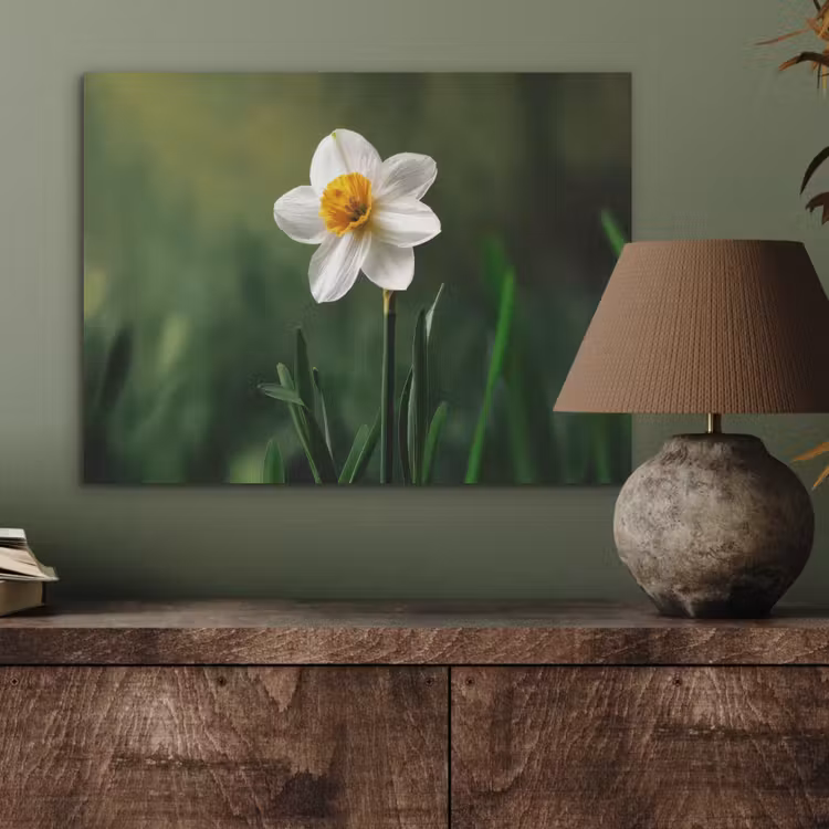 Narcis - Bloem - Wit - Grassprieten PET vilt klein -sfeer2