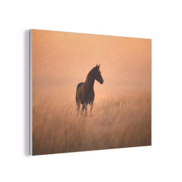 Paard - Grasveld - Zonsondergang PET vilt klein -3d