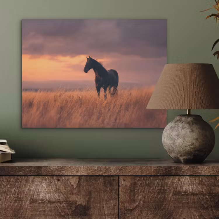 Paard - Wolken - Open veld PET vilt klein -sfeer2