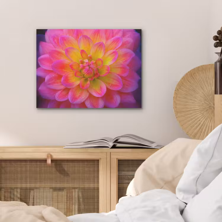 Roze - Dahlia - Kleurrijk PET vilt klein -sfeer3