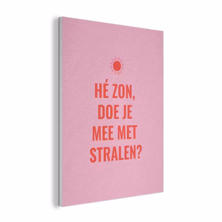 Roze - Zon - Quote PET vilt klein -3d