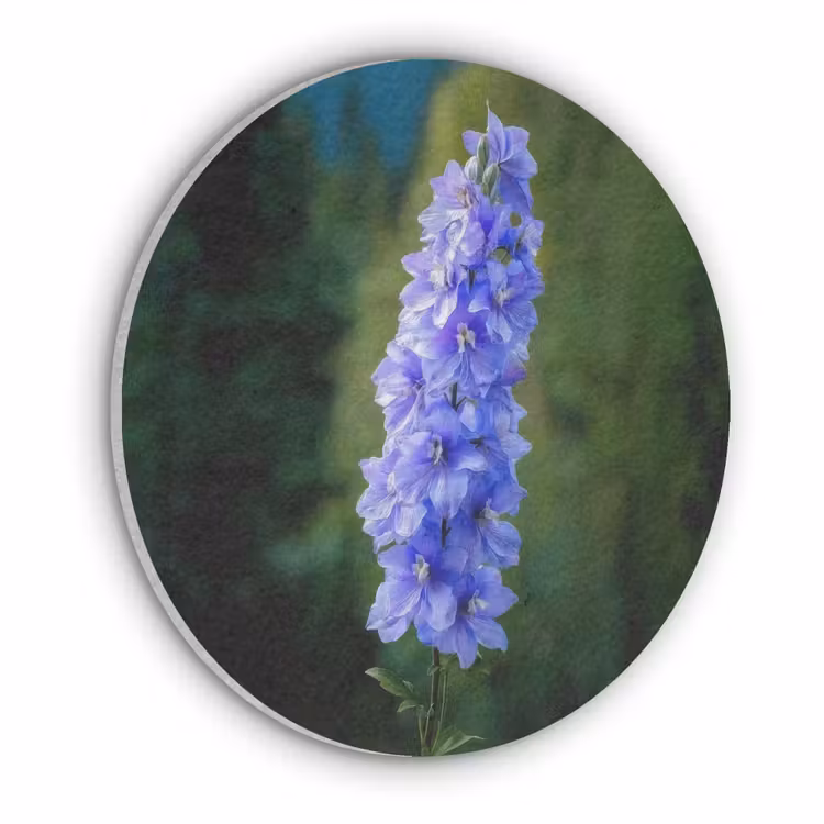 Bloemen - Blauw - Dennenboom Akoestische PET Vilt - Rond klein -3d