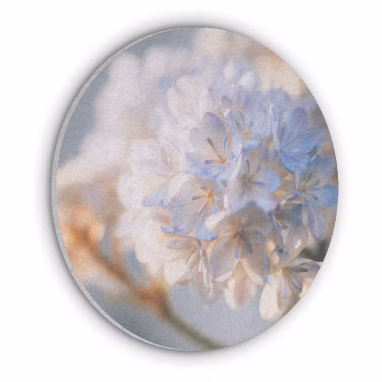 Bloemen - Lichtblauw - Wazig - Trosje Akoestische PET Vilt - Rond klein -3d