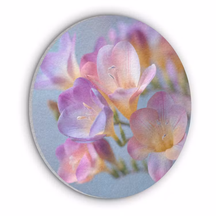 Bloemen - Paars - Overloop - Meeldraden Akoestische PET Vilt - Rond klein -3d