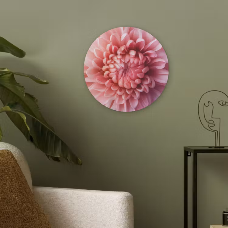 Dahlia - Bloem - Close up - Roze Akoestische PET Vilt - Rond klein -sfeer2