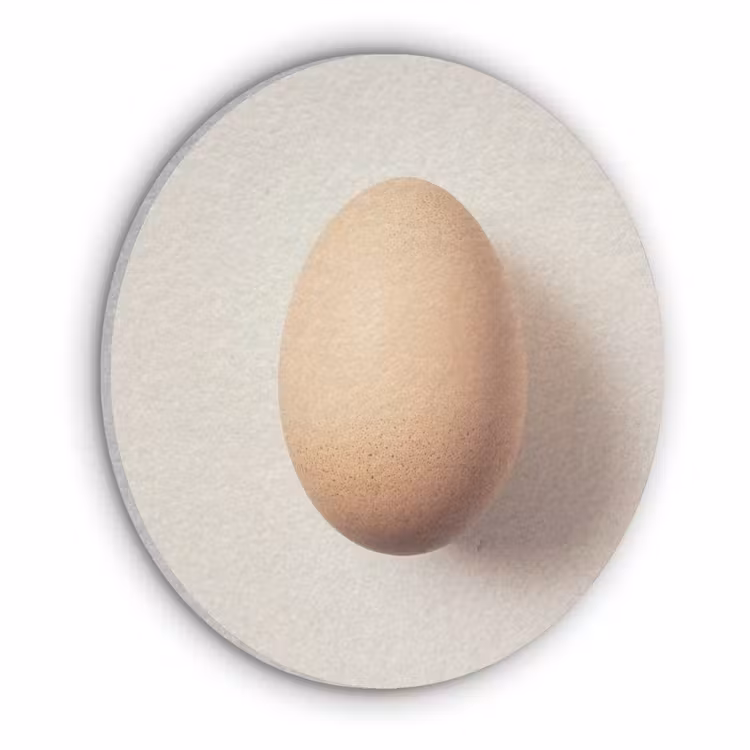 Ei - Beige - Ovaal - Egaal Akoestische PET Vilt - Rond klein -3d