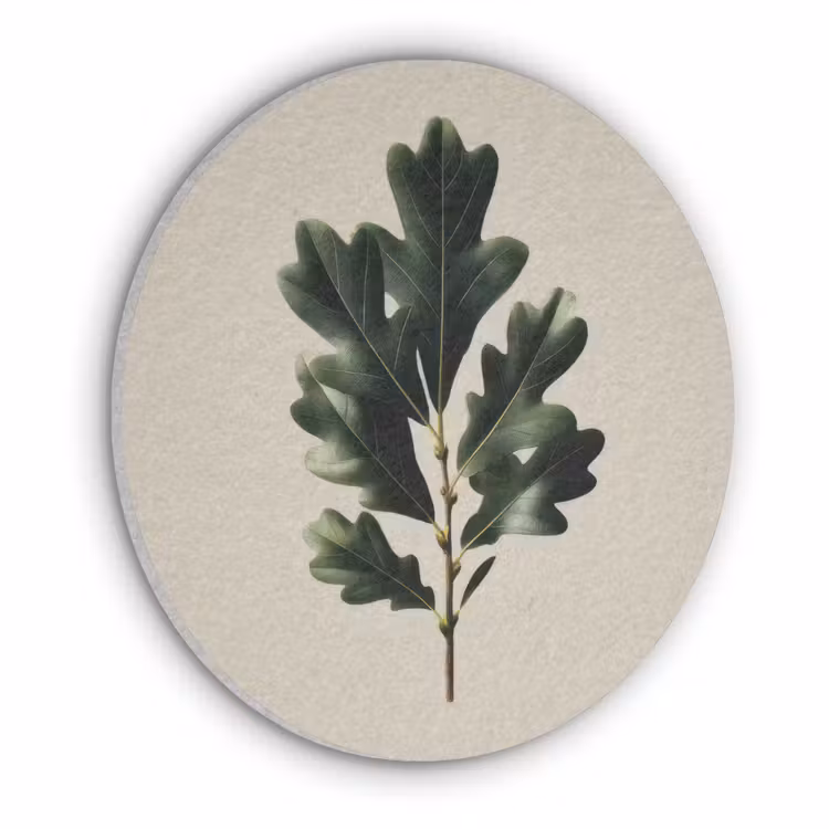 Eikenbladeren - Beige - Groen - Golvende randen Akoestische PET Vilt - Rond klein -3d