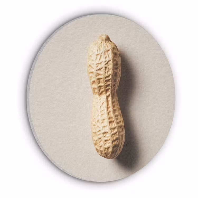 Pinda - Ruw - Beige Akoestische PET Vilt - Rond klein -3d