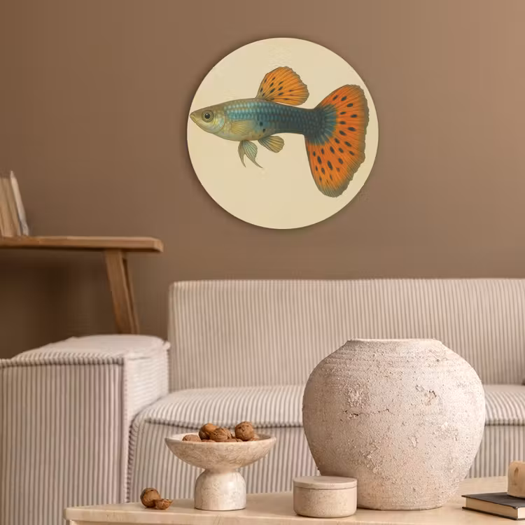 Vis - illustratie - Stippen - Oranje Akoestische PET Vilt - Rond klein -sfeer1