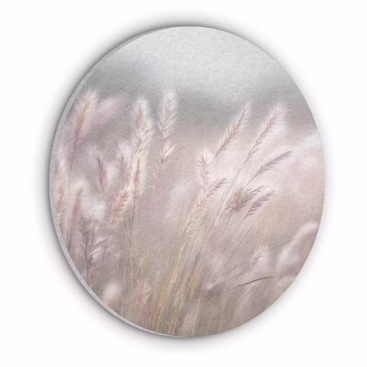 Graspluimen - Wind - Beige - Mistig Akoestische PET Vilt - Rond klein -3d