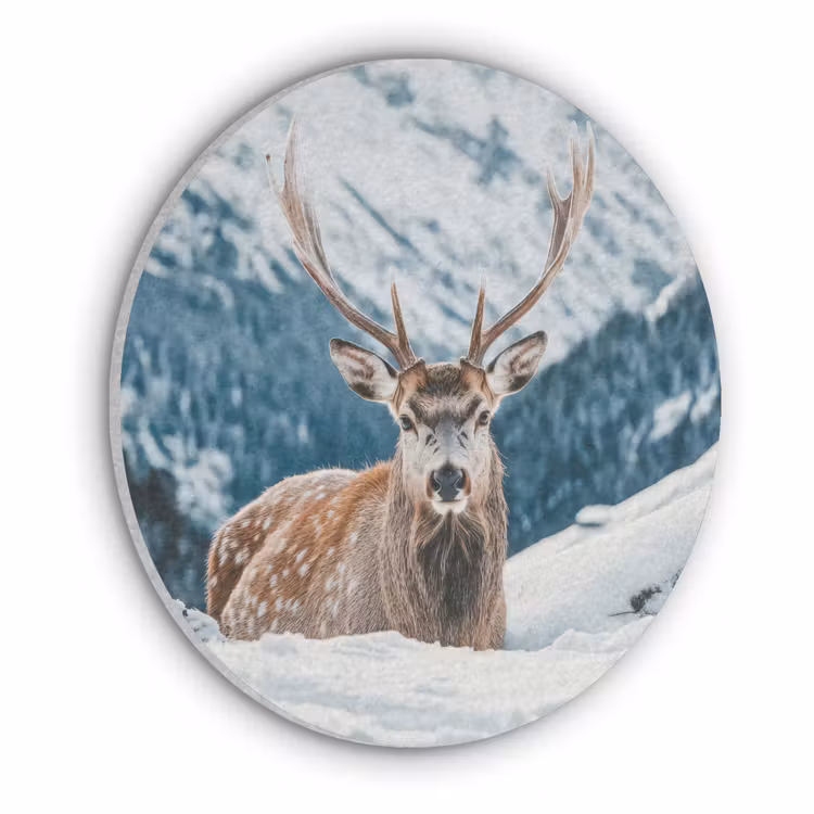 Hert - Landschap - Winter - Natuur - Dieren - Bergen Akoestische PET Vilt - Rond klein -3d