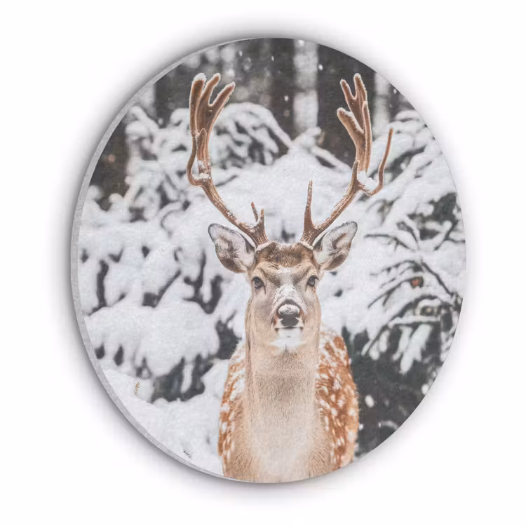 Hert - Sneeuw - Winter - Bos - Dieren Akoestische PET Vilt - Rond klein -3d