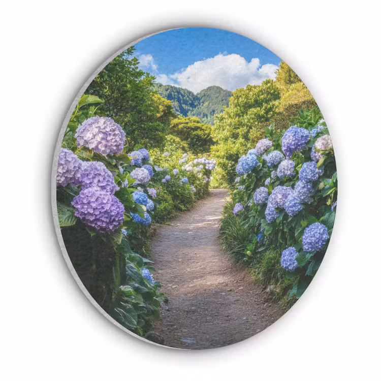 Hortsensia - Pad - Bloemen Akoestische PET Vilt - Rond klein -3d