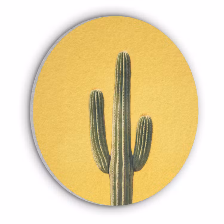 Cactus - Groen - Minimalistisch Akoestische PET Vilt - Rond klein -3d