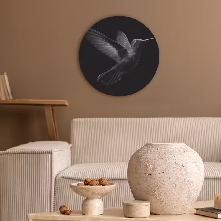 Kolibrie - Zwart - Dieren Akoestische PET Vilt - Rond klein -sfeer1