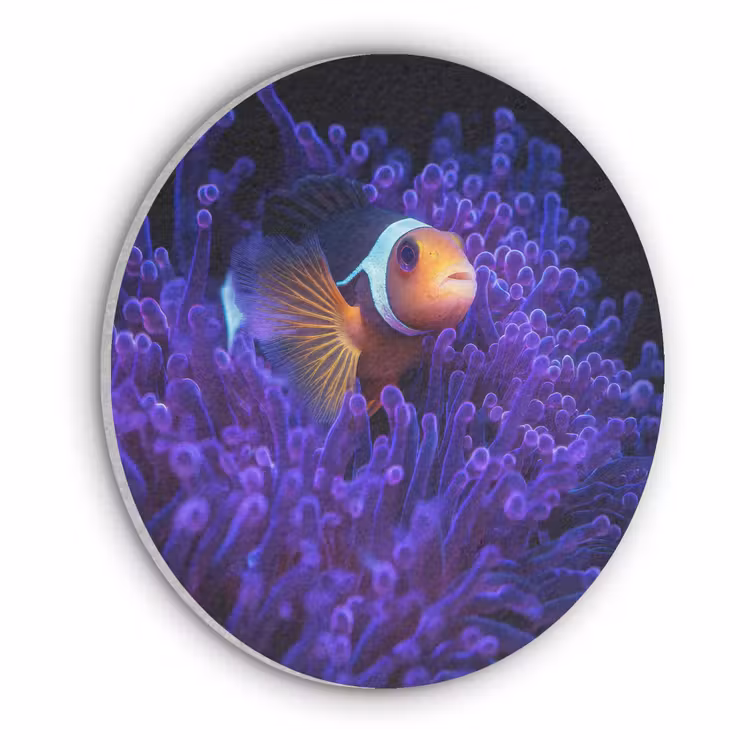 Koraal - Vis - Oranje - Zee Akoestische PET Vilt - Rond klein -3d