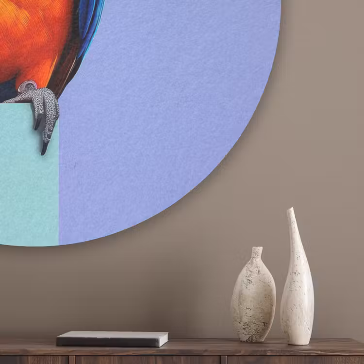 Papegaai - Koksmuts - Vogel - Leuk Akoestische PET Vilt - Rond klein -sfeer5_closeup