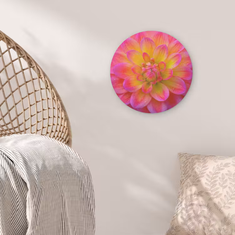 Roze - Dahlia - Kleurrijk Akoestische PET Vilt - Rond klein -sfeer4