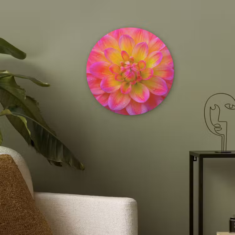 Roze - Dahlia - Kleurrijk Akoestische PET Vilt - Rond klein -sfeer2