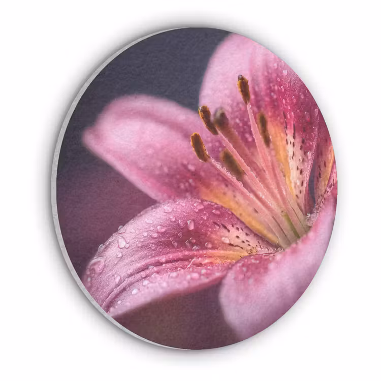 Roze - lelie - Dauwdruppels Akoestische PET Vilt - Rond klein -3d