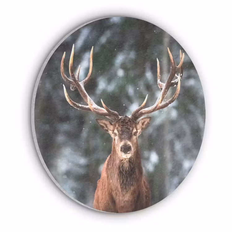 Hert - Winter - Sneeuw - Bos - Natuur - Dier Akoestische PET Vilt - Rond klein -3d