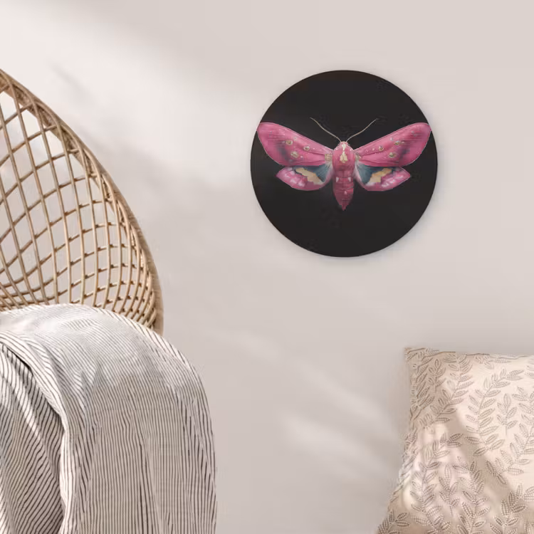 Vlinder - Roze - Nachtvlinder Akoestische PET Vilt - Rond klein -sfeer4