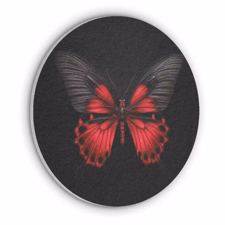 Vlinder - Rood - Contrast Akoestische PET Vilt - Rond klein -3d