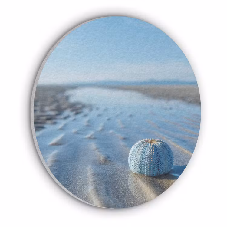 Strand - Schild - Water - Blauw Akoestische PET Vilt - Rond klein -3d