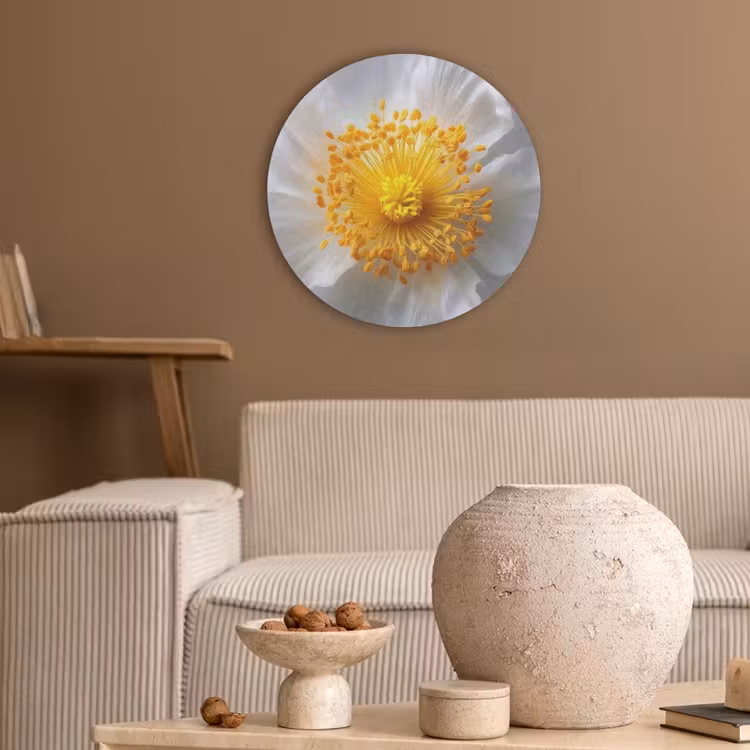 Wit - Bloem - Elegant Akoestische PET Vilt - Rond klein -sfeer1