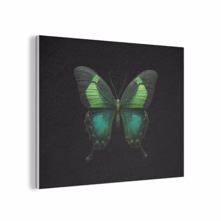 Vlinder - Groen - Opvallend PET vilt klein -3d