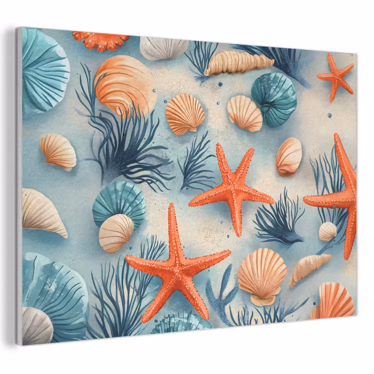 Zeesterren - Schelpen - Illustratie - Zand PET vilt klein -3d