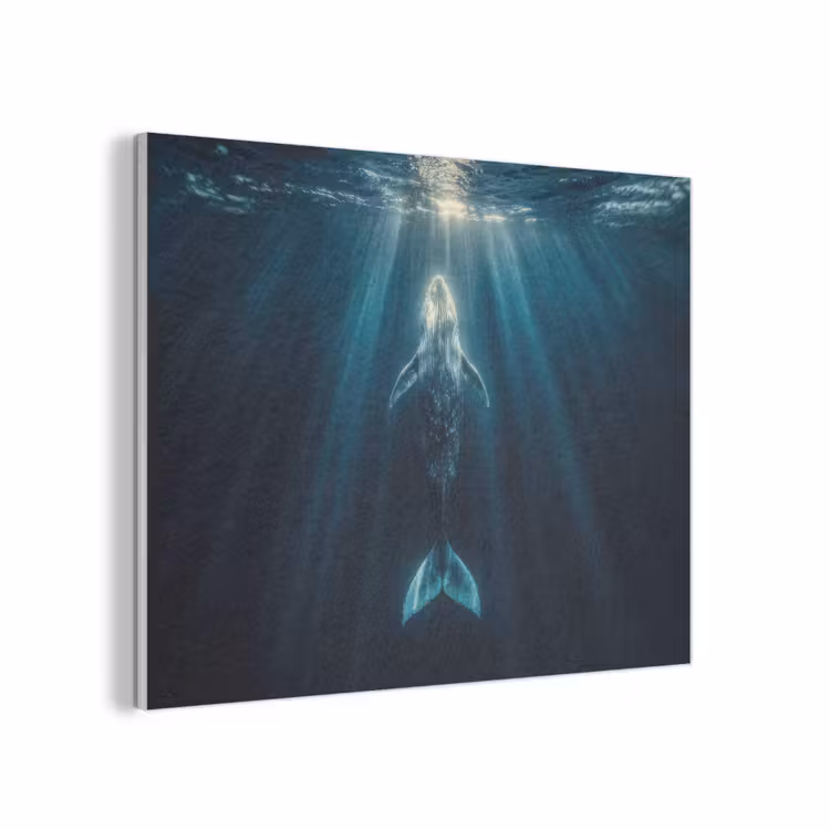 Walvis - Water - Zonnestralen - Blauw PET vilt klein -3d