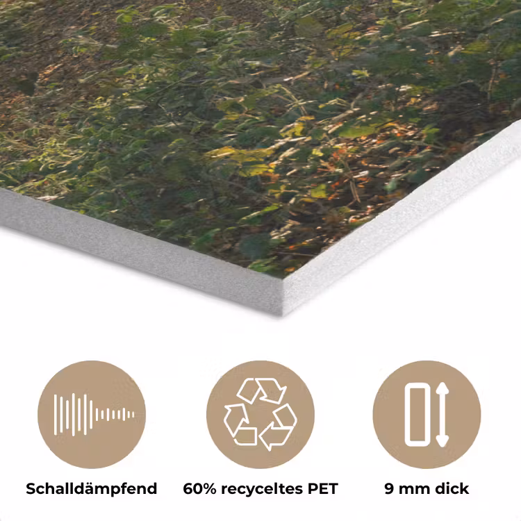 Bos - Bomen - Pad - Zon - Planten - Bladeren - Natuur PET vilt klein -closeup_DE