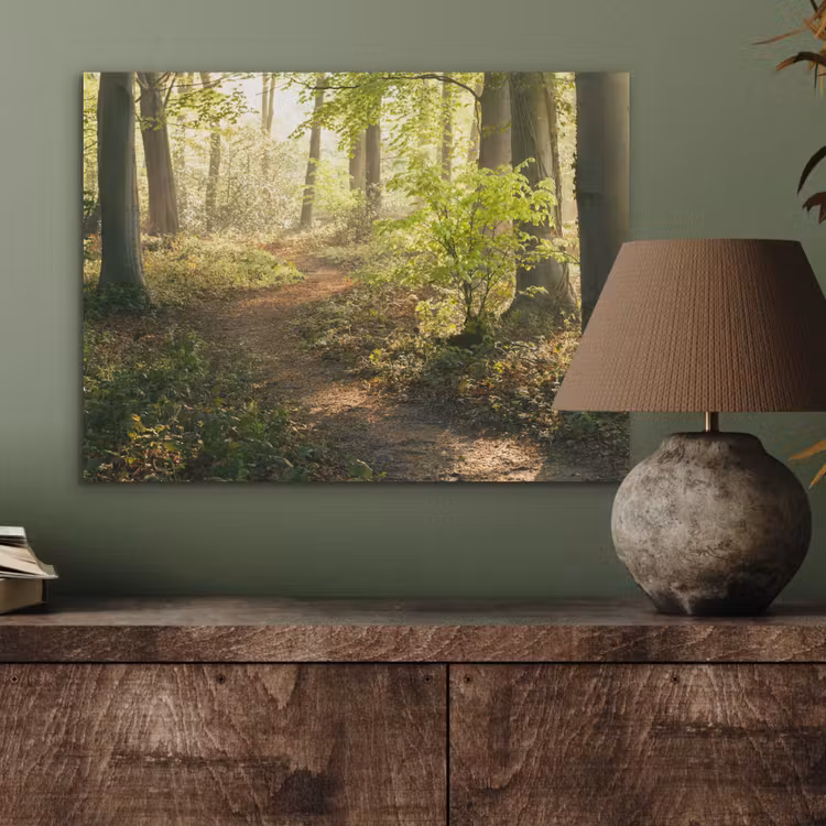 Bos - Bomen - Pad - Zon - Planten - Bladeren - Natuur PET vilt klein -sfeer2