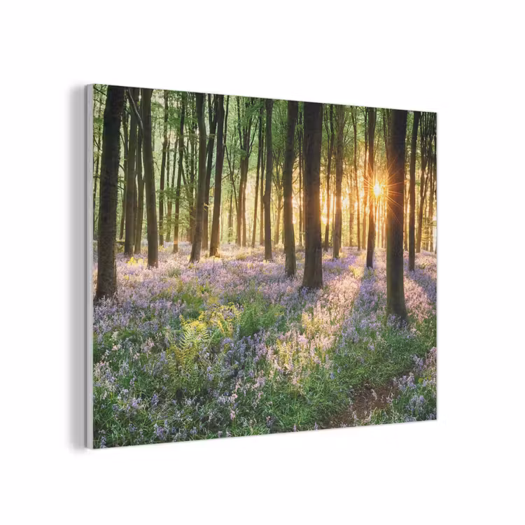 Bos - Bloemen - Lavendel - Zon - Paars - Natuur PET vilt klein -3d