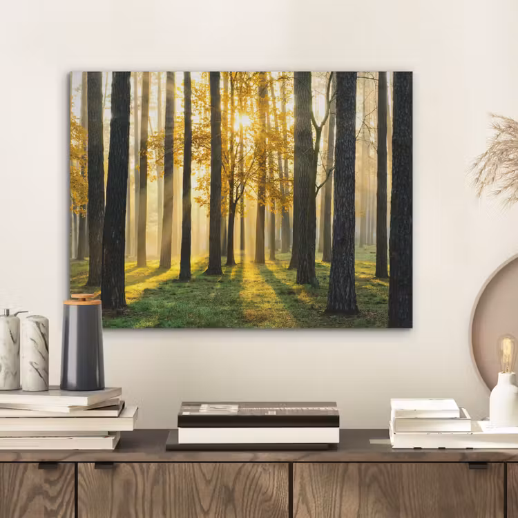 Bos - Zon - Bomen - Gras - Landschap - Natuur PET vilt klein -sfeer1