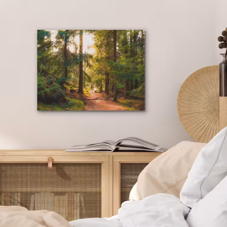 Bos - Pad - Bomen - Groen - Zon - Natuur PET vilt klein -sfeer3