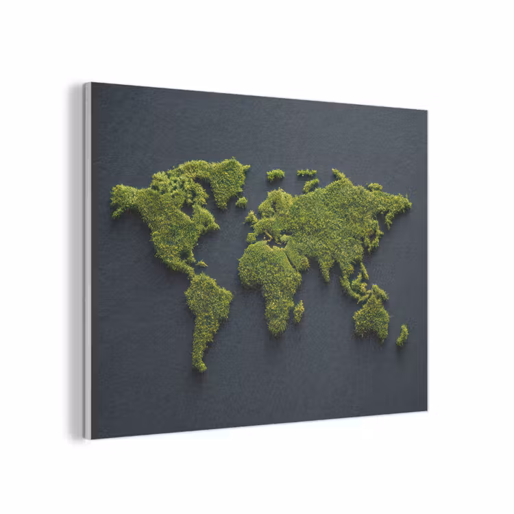 Wereldkaart - Mos -Levendig effect PET vilt klein -3d