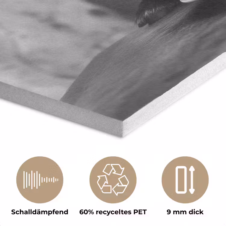 Geit - Bord - Spaghetti - Zwart Wit PET vilt klein -closeup_DE