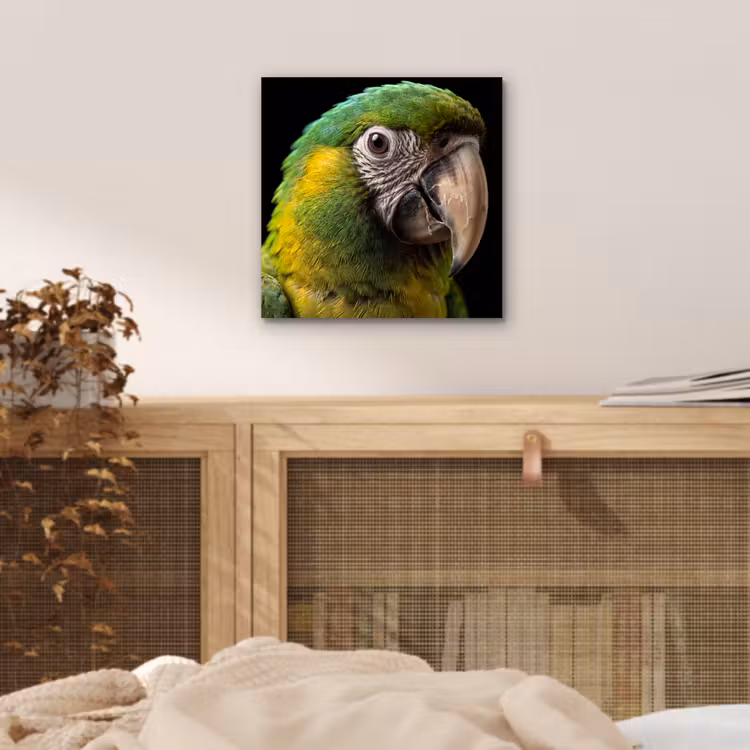 Ara - Portret - Groen aluminium wit klein -sfeer3