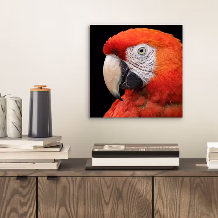 Ara - Portret - Rood aluminium wit klein -sfeer1