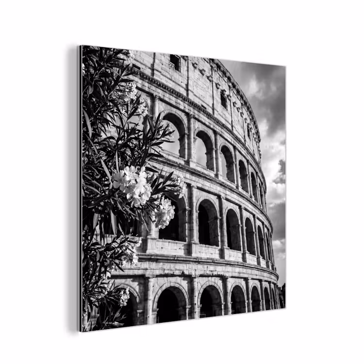 Architectuur - Colosseum - Rome - Historisch - Zwart-wit aluminium wit klein -3d