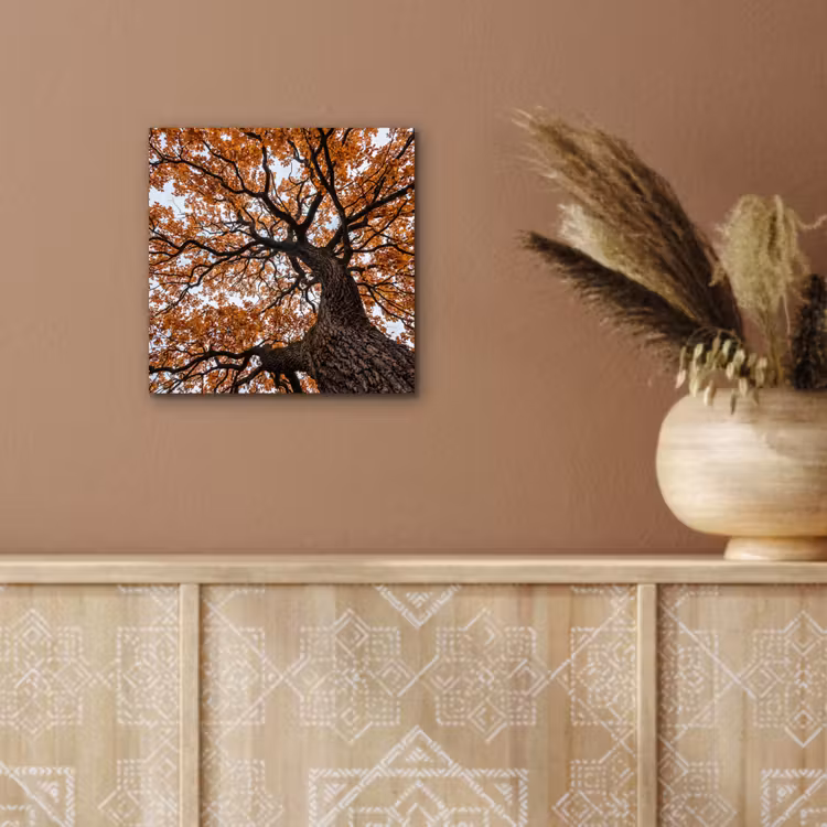 Boom - Bladerdak - Herfst - Oranje - Sfeervol aluminium wit klein -sfeer4